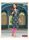 Albeli Vol 2 By Passion Tree Embroidery Kurtis Catalog
